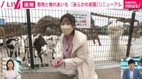 アルパカから猛禽類まで!あらかわ遊園