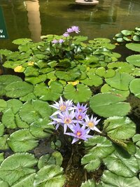 三田佳子『鍵を失くしました！！』