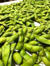 藤あや子『大量に仕込んだもの』