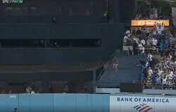 アイツらやりすぎだろ！ 一体、何が起こった…！？ 大谷翔平、特大アーチでハプニング発生… 打球を狙う観客たちがヤバすぎると話題に「どうやって入るんだよw」