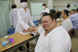 「かわいすぎる力士」の本領発揮？　千代丸の採血時の表情が大好評