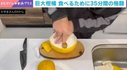 巨大柑橘を食べるために35分間の格闘…ひたすら剥き続ける様子に「職人技すぎて目が点」「芸術品のよう！」と反響続々