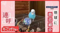 地球に自己紹介　「ピコ、ピコ、ピコちゃーん」　名前を連呼する理由は…愛！？