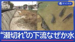 東海道五十三次にも描かれた川が“瀬切れ”　でも下流には水が…なぜ？