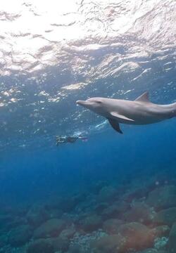  松居直美、旅行中に悲しかった出来事を明かす「デジカメの使い方を把握していなかった」 