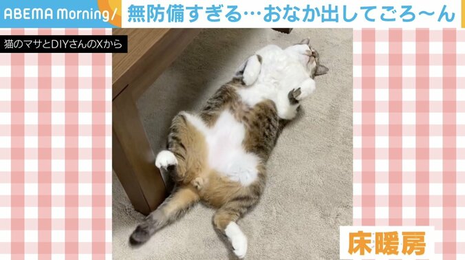 ネコのマサくん