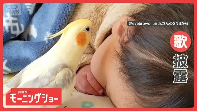 まるで子守歌　すやすや眠る赤ちゃんの耳元で歌を披露するインコ　寝かしつけてる？ 1枚目
