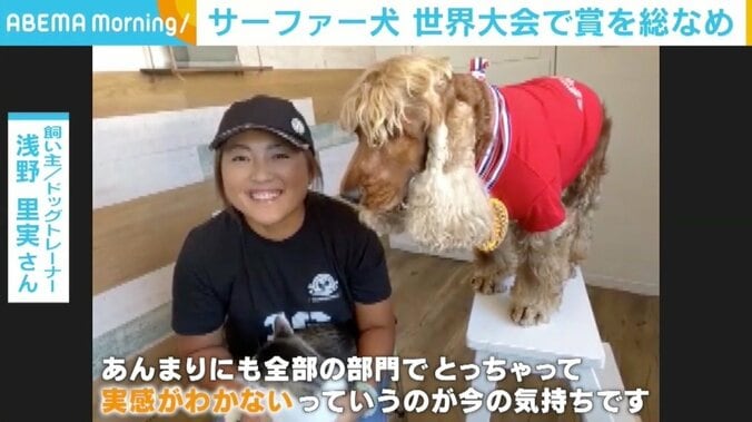 “サーファー犬”が世界大会で賞を総なめ 飼い主「日本のドッグサーフィンをもっと高めたい」 2枚目