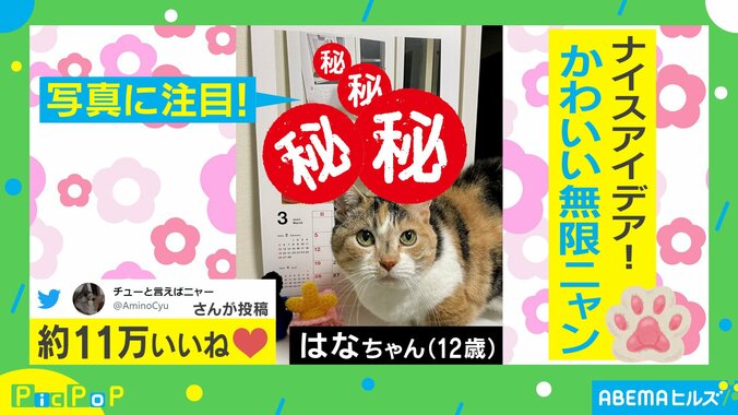 無限に続く秀逸な猫のカレンダーに「見つめてますにゃ～」「おもしろい!」と称賛の声 1枚目