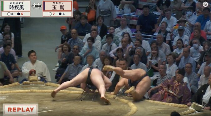 41歳・玉鷲、大ハッスルの逆転劇！ 際どい決着に「逆やと思った」ファン反応も「ほんとだ」カメラが捉えた“左手”話題に 3枚目