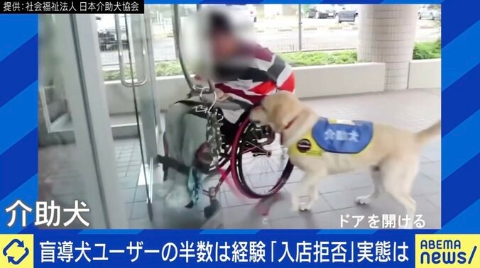 盲導犬ユーザーが経験する“入店拒否”