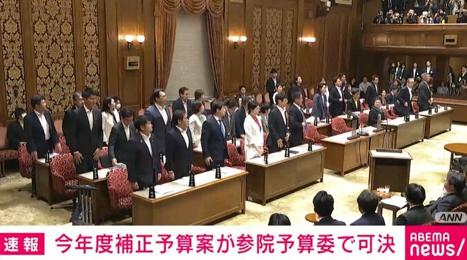 参議院・予算委員会