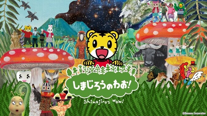 【写真・画像】　2枚目