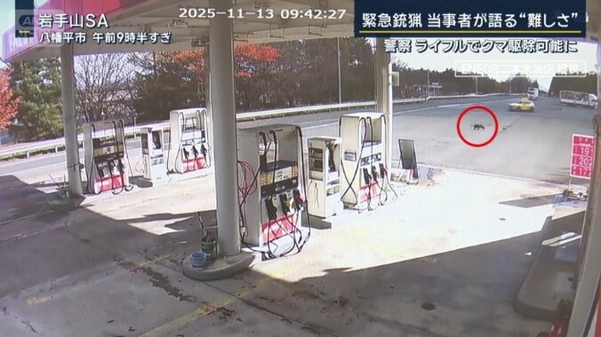 ガソリンスタンドの手前を横切るクマ