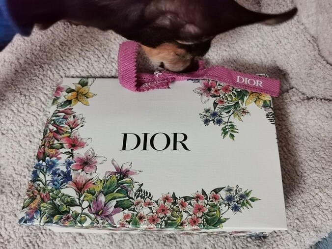  山田美保子氏、坂上忍から届いた『Dior』の品「センス良い」「素敵ですね」の声  1枚目