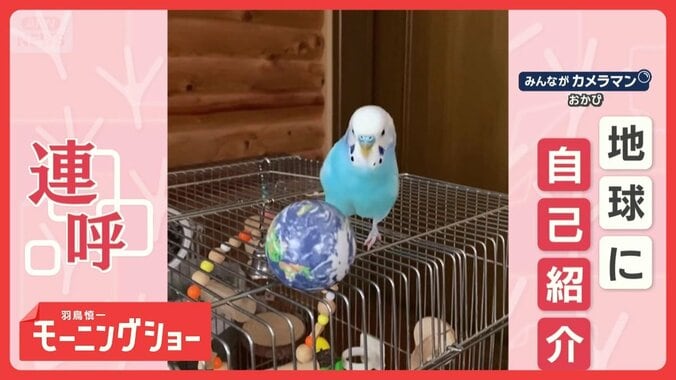 地球に自己紹介　「ピコ、ピコ、ピコちゃーん」　名前を連呼する理由は…愛！？ 1枚目