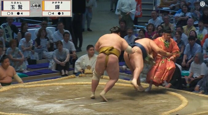 「これは衝撃映像」鉄人・玉鷲、行司を“なぎ倒し”土俵下へ落下「めっちゃ飛んだな」「大被弾」館内騒然 3枚目