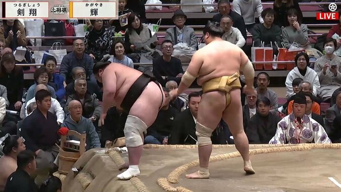 【写真・画像】　1枚目