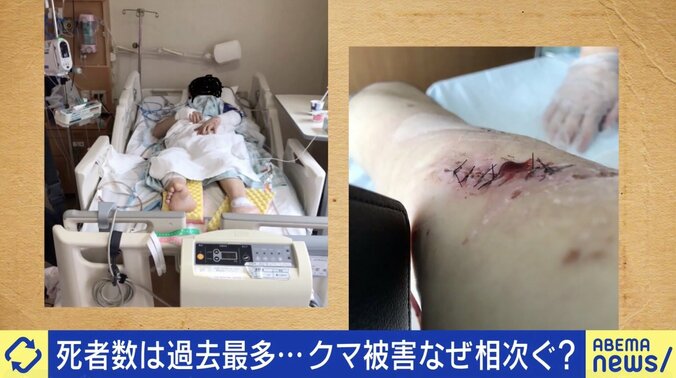 相次ぐクマ被害の対策は？