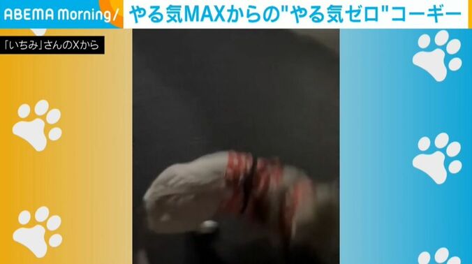いちみちゃん