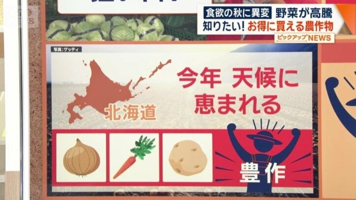 北海道は天候に恵まれ生育状況が良く豊作だという