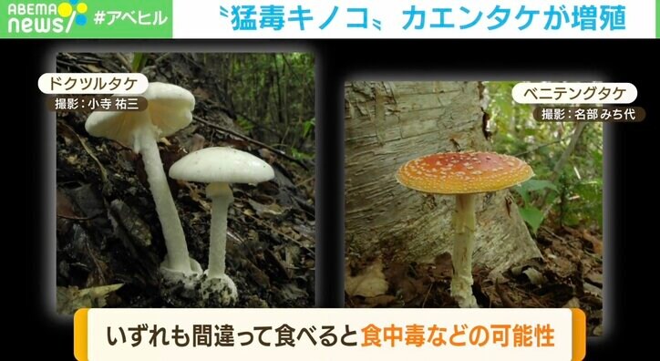 少量口にしただけで命を落とすことも… 最強の毒キノコ「カエンタケ」公園で増殖 神奈川県など各地で目撃情報相次ぐ
