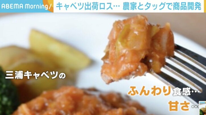 余剰キャベツの「もったいない」をなくすために…農家と企業がタッグ！ 新商品開発の裏側