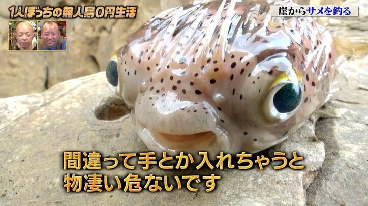 【写真・画像】【コピーして使ってください】かりそめ天国 2枚目