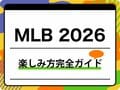 MLBとは？シーズンの概要や魅力、期間、ルール、仕組み、所属する日本人選手を紹介