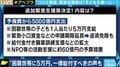 困窮する子育て世帯などへ緊急支援策 行き届かせるため、政府は申請に至るまでのサポートを