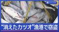 “消えたカツオ”漁港で大規模窃盗　水産会社元常務に懲役3年求刑
