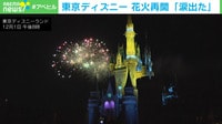 【映像】ファン「涙出た…」再開した東京ディズニーの花火