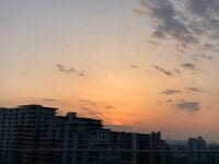 LiLiCo『わお❣️』