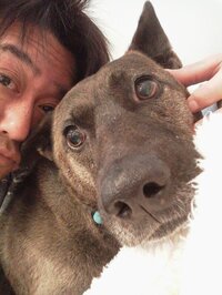 坂上忍『今朝のパパとサンタ』