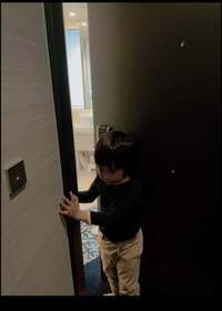 アレクサンダー『ホテルの部屋を嫌がってます‼️』