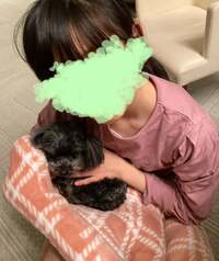 市川團十郎白猿『終わりました』