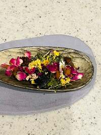 松居直美『おはようございます♪』