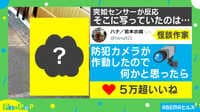 【映像】防犯カメラが決定的瞬間を“トリ”ました?