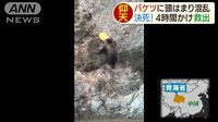 最新の国際ニュース【随時更新】 - - バケツがヒグマの頭に…警察が格闘4時間、救助 | 動画視聴は【Abemaビデオ(AbemaTV)】