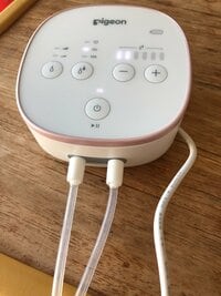 キンタロー。『いきなりはじまった2児育児の前に伝えたい事。』