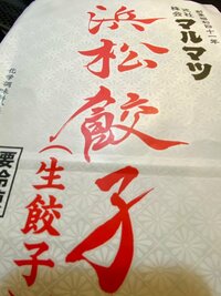 金山一彦『浜松餃子』