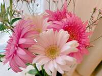 安めぐみ『皆さまへ』