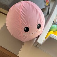 最上もが『青春時代を捧げたラグナロクオンライン』