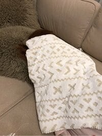 杉浦太陽『激レアなノンさんだなw』