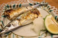 保田圭『秋の味覚』