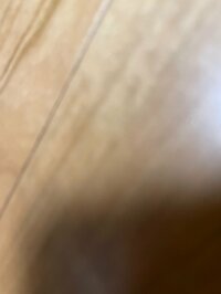 渡辺徹『今年最初の家族写真』