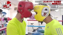 ボクシング・プロ挑戦の歌舞伎町ホスト、“亀田家の最終兵器”京之介とのスパーでめった打ち…