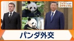 マクロン仏大統領が訪中　パンダ外交で中国と関係強化　フランスと協力延長