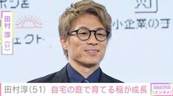 自宅が「豪邸」と話題・田村淳（51）、子どもたちと庭に植えた稲の成長を披露