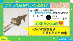 鉛筆を削るとトカゲ→“別の生き物”に変身!? 鉛筆削りの可愛すぎるビフォーアフターに「アイディアってすげー」絶賛の声